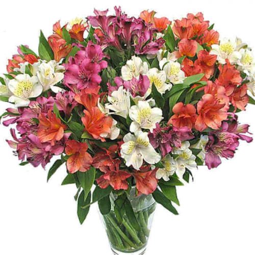 bukett med aströmeria