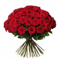 ROSOR