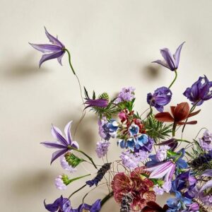 DIADEM KLEMATIS