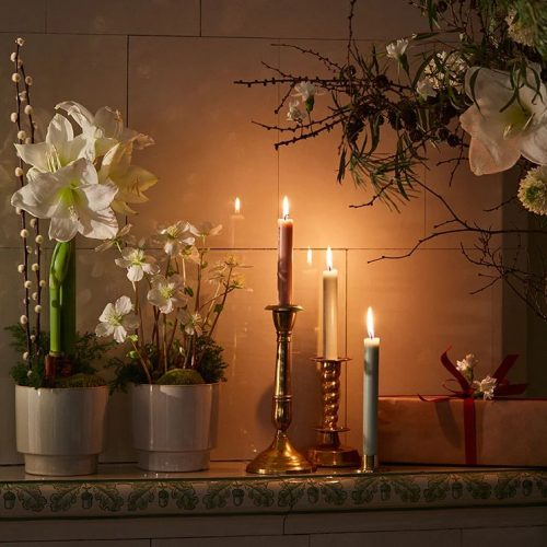 VINTERAMARYLLIS I KRUKA