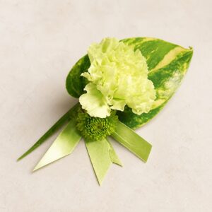 Corsage med grön nejlika och krysantemum