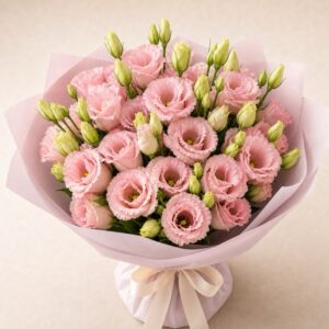 Rosa eustoma