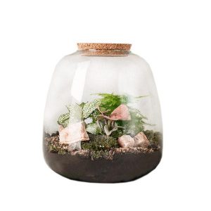 terrarium